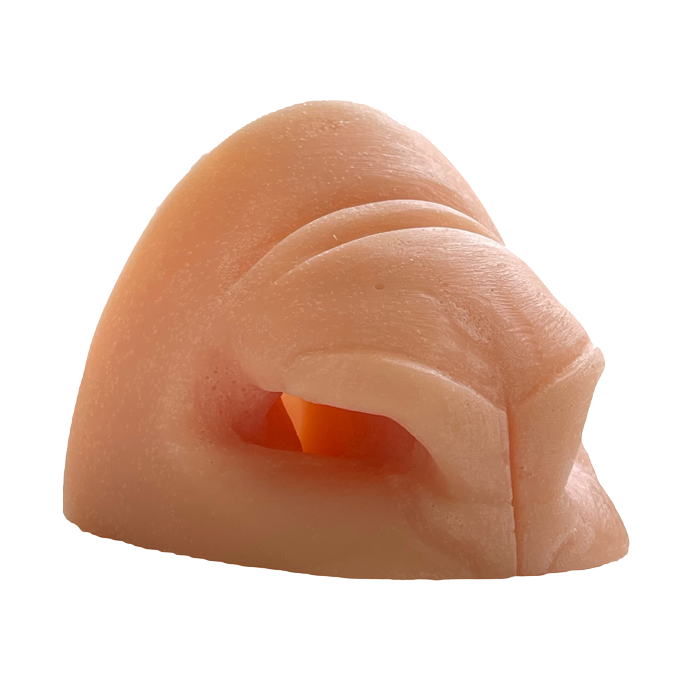 Ram replacement nose - side view - Payer Taxidermy