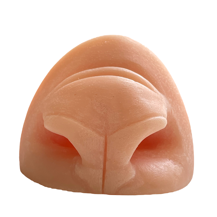 Ram Replacement Nose - Payer Taxidermy