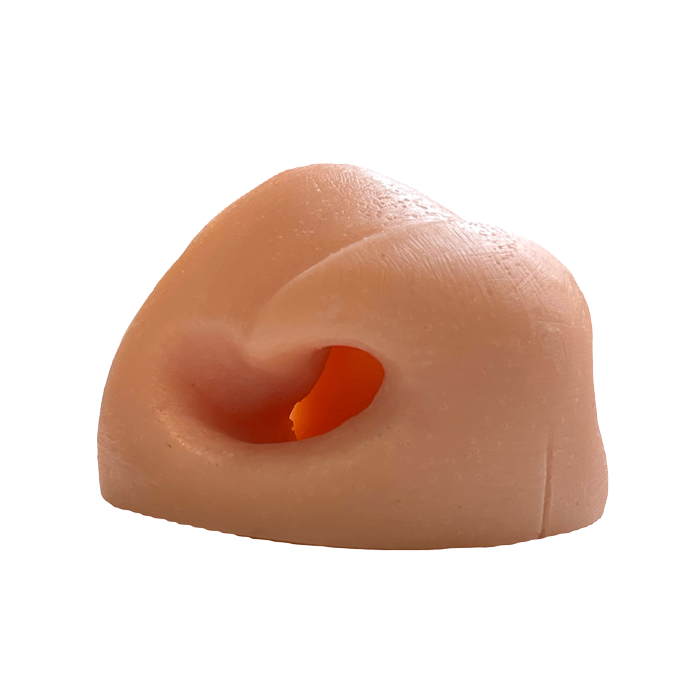 Hog Deer Replacement Nose - Side View - Payer Taxidermy