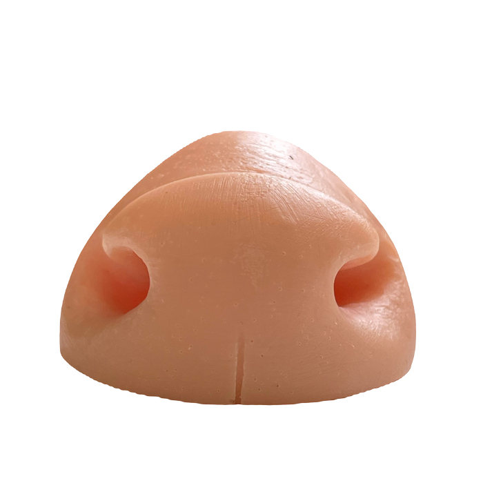 Hog Deer Replacement Nose - Payer Taxidermy