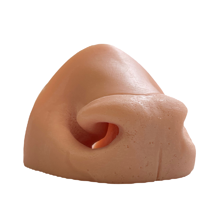 Axis Nose - Small - Side- Payer Taxidermy