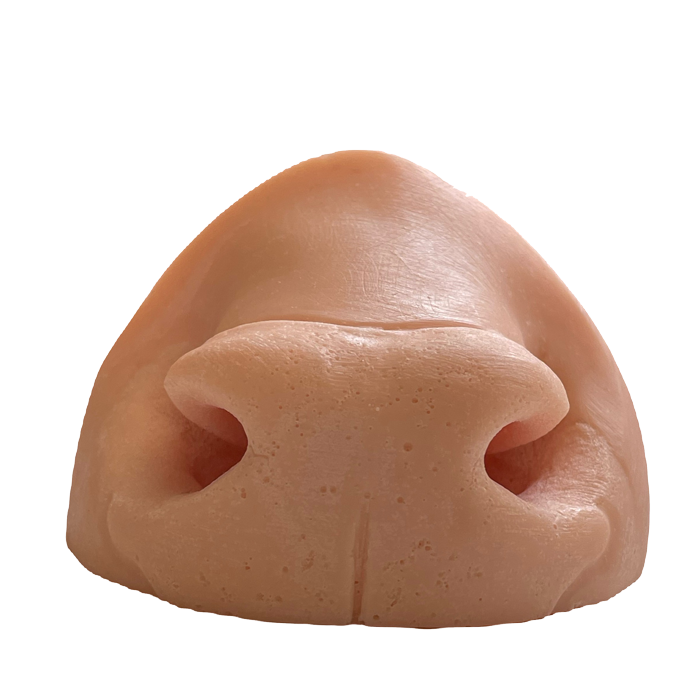 Axis Nose - Small - Payer Taxidermy