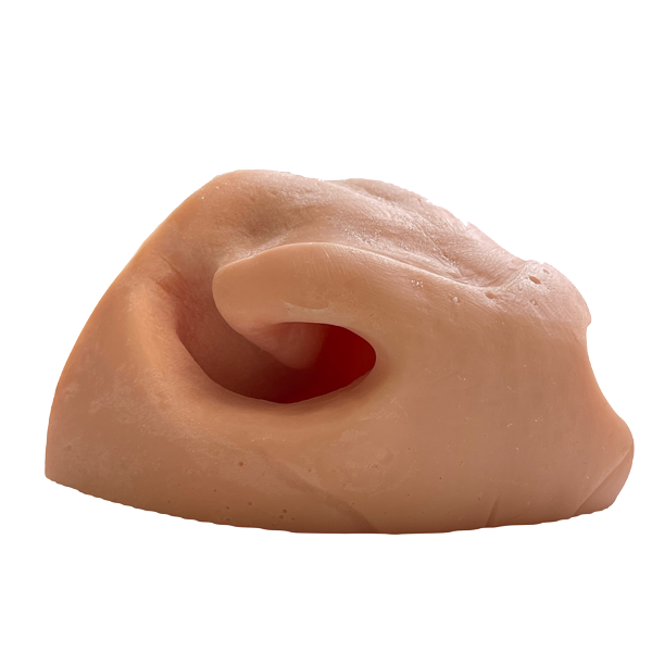 Elk Nose - Medium - Side View - Payer Taxidermy