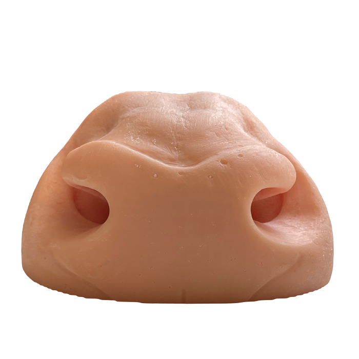 Elk Nose - Medium - Payer Taxidermy