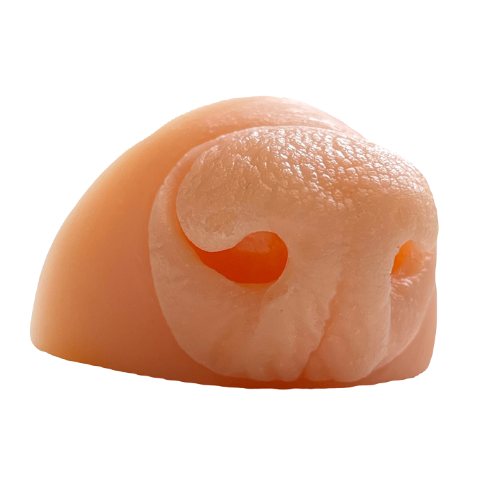 Racoon Replica Nose - Side View - Payer Taxidermy