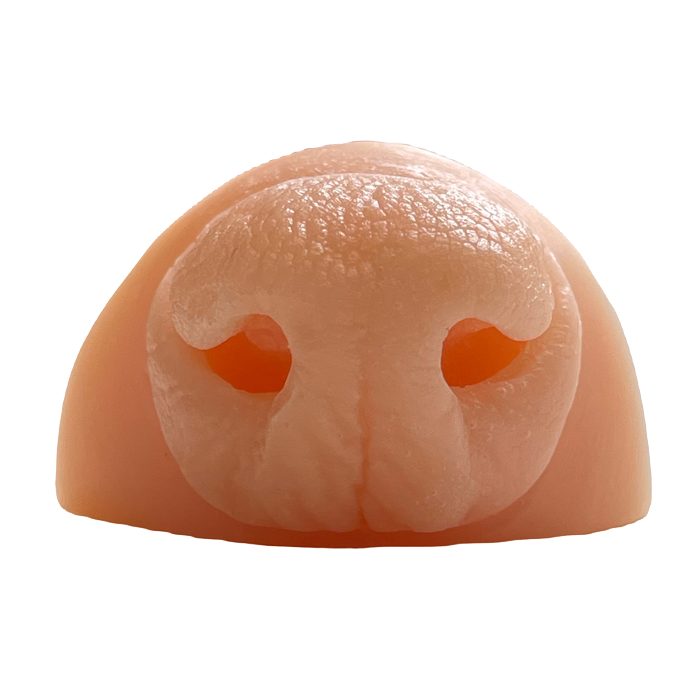 Racoon Replica Nose - Payer Taxidermy