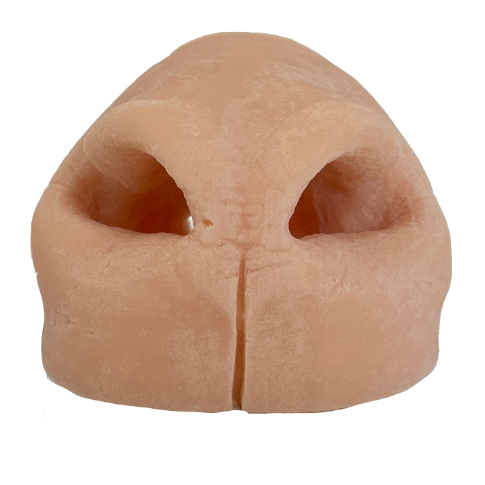 Aoudad Replacement Nose - Payer Taxidermy