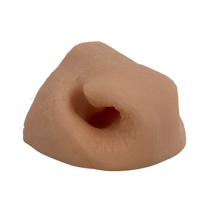 Nilgai Replacement Nose - Payer Taxidermy