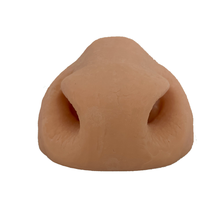 Nilgai Replacement Nose - Side View Payer Taxidermy