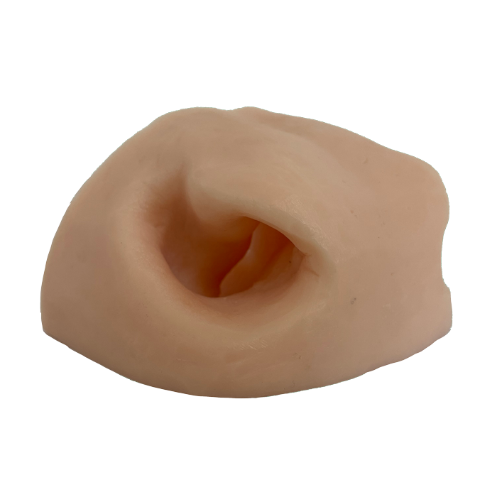 Red Stag - Side View - Replacement Nose - Payer Taxidermy