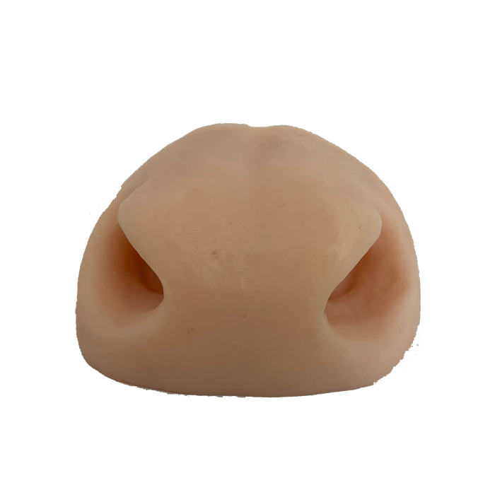 Red Stag Replacement Nose - Payer Taxidermy