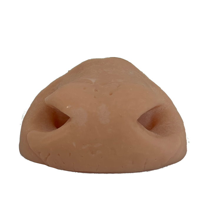 Axis Replacement Nose- Payer Taxidermy