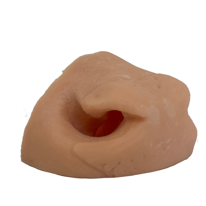 Axis Replacement Nose- Side View -Payer Taxidermy