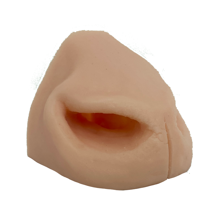 Black Buck Replacement Side Nose- Payer Taxidermy