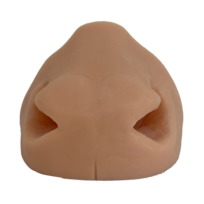 Mule Deer Replacement Nose- Payer Taxidermy