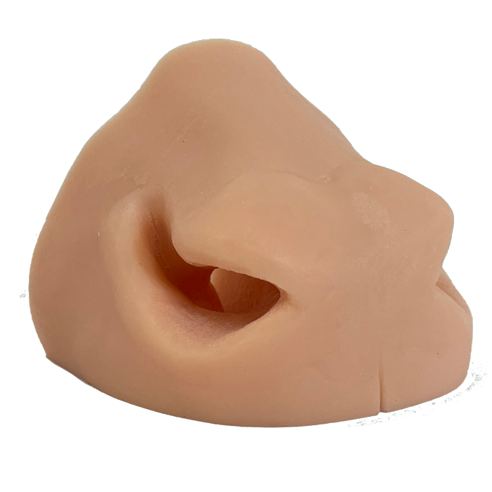 Axis Replacement Nose- Side View - Payer Taxidermy