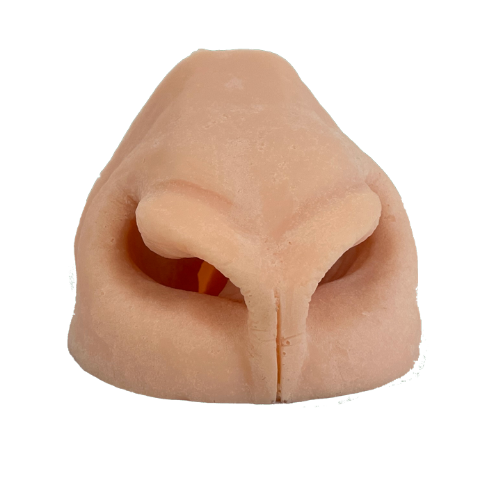 Pronghorn Replacement Nose - Payer Taxidermy