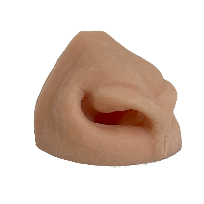 Pronghorn Side View - Replacement Nose - Payer Taxidermy