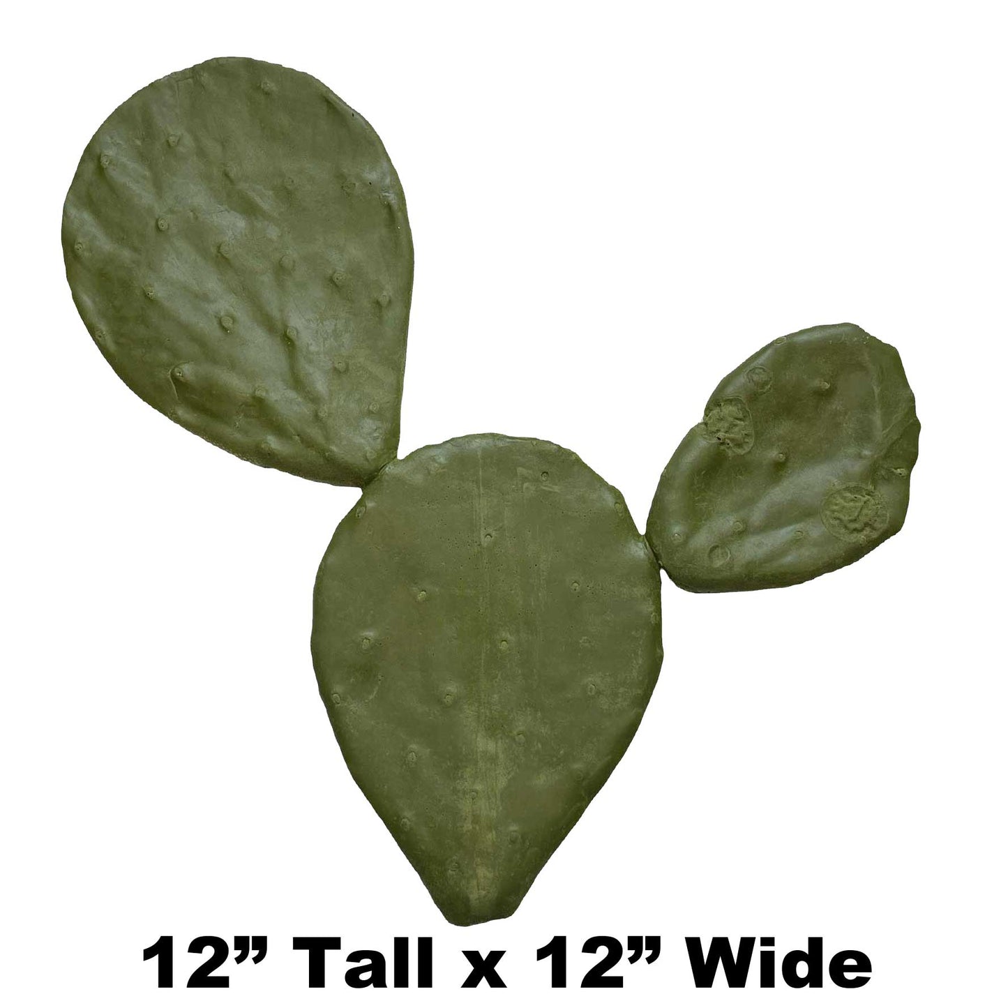 One Piece Cacti - 12" x 12" - Payer Taxidermy