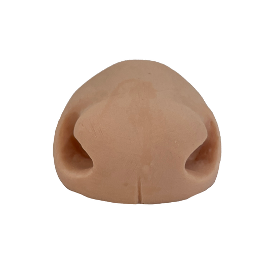 Whitetail Deer Nose- Small - Payer Taxidermy