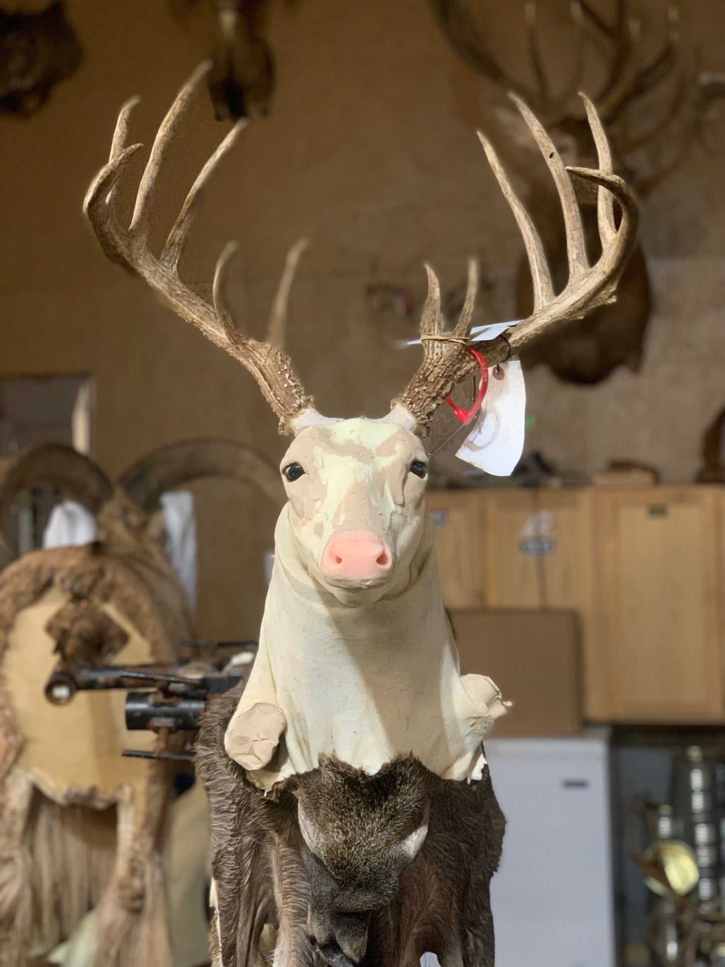 Lonestar Large Whitetail Deer Replacement Nose - Payer Taxidermy