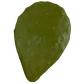 Fake Cactus Leaf Payer Taxidermy